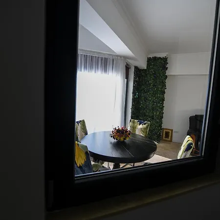 Apartament Deluxe Solid Butoaie *